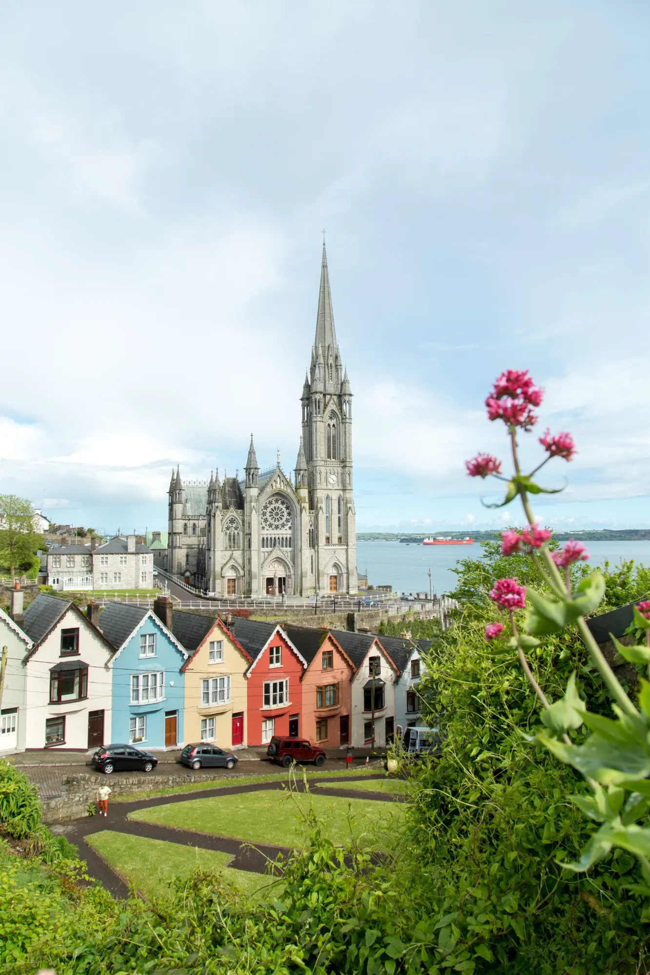 Colourful houses in front of Cobh Cathedral, by the harbour